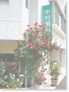 中村歯科医院