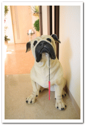 番犬（置物）