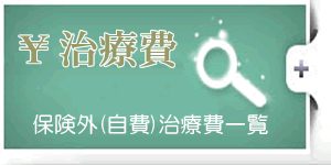 保険外（自費）治療費一覧