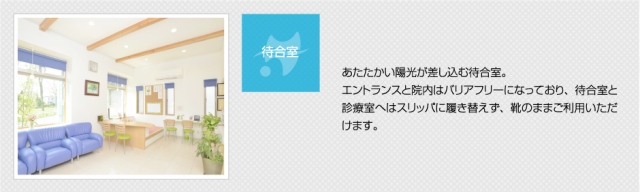 松尾歯科矯正歯科